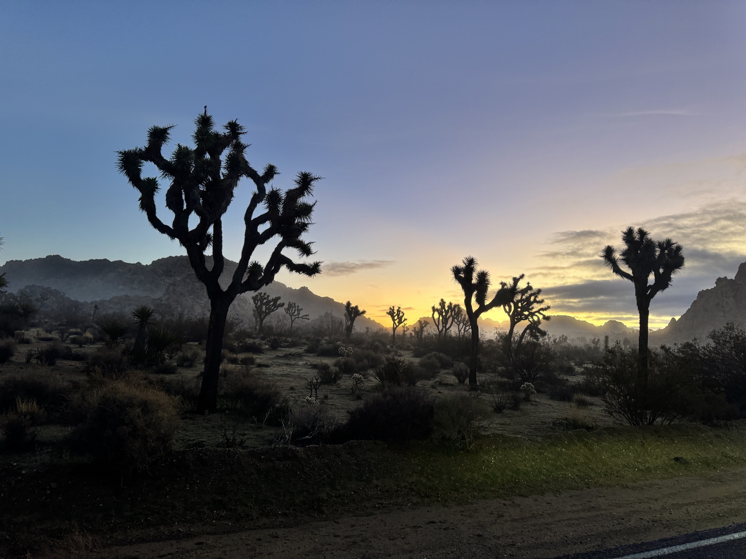 Southern California Adventure